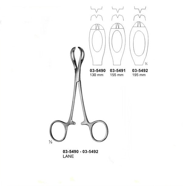 Lane Tissue Forceps 6"