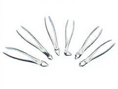 Serrated Tooth Extraction Forcep Set