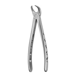 Cow Horn Forcep (Lower)