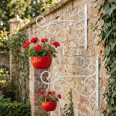 Pot Hanger – Wall Organizer (Pack of 2)