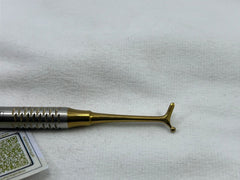 Egg Shaped Burnisher (Golden Handle)