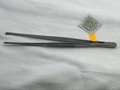 Tooth Forceps 7"