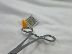 Babcock Forceps 7"