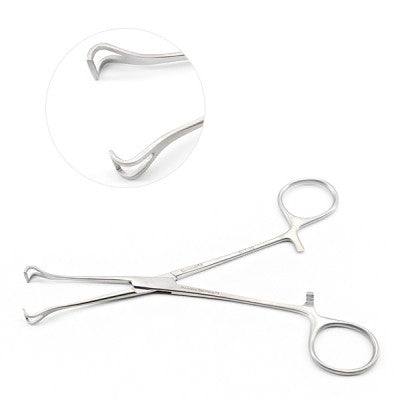 Babcock Forceps 8"