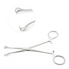 Babcock Forceps 8"