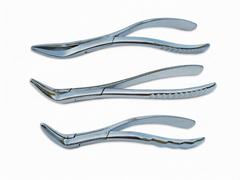Root Pick Forcep