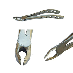 Broken Root Forcep